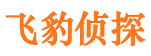 宣汉婚外情调查取证